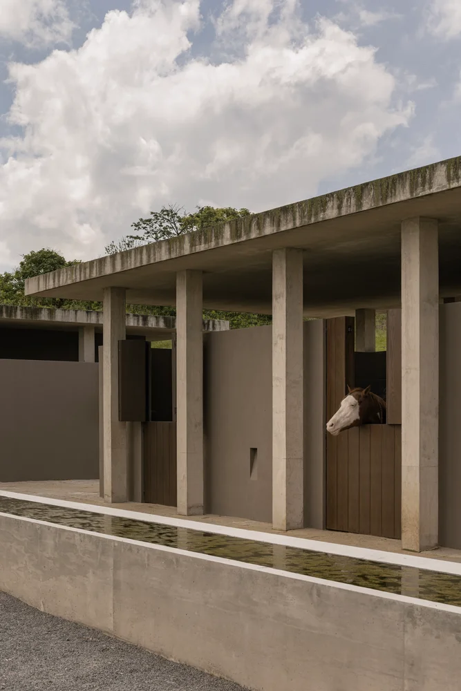 Rancho del Abuelo 4